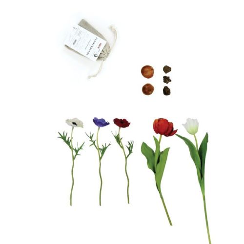 Leinenbeutel mit Blumenzwiebeln - Bild 5